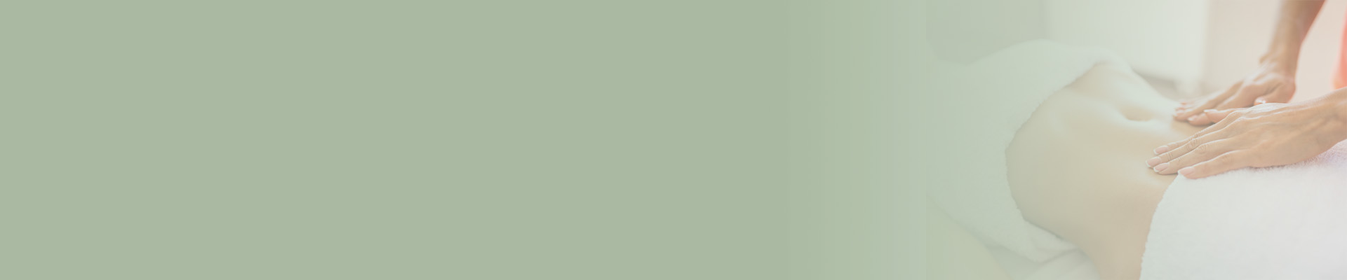 Banner Clínica Schaefer